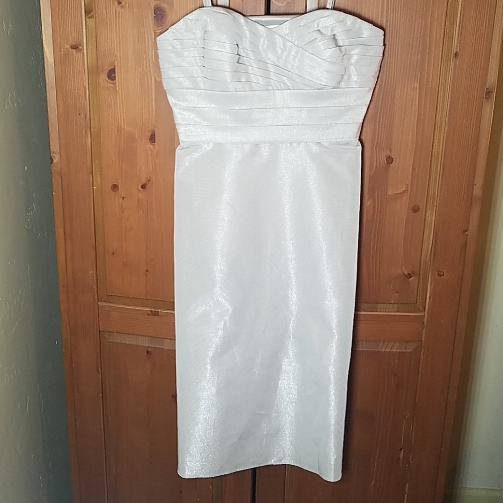Ann Taylor Shimmery Champagne Colored Dress